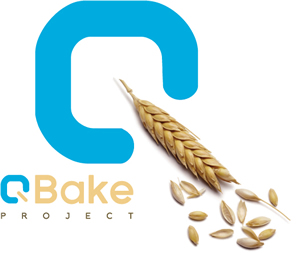 Q BAKE PROJECT